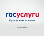 Новый сервис Госуслуг защитит от мошенников
