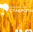 Бренды Ставрополья выходят на маркетплейсы с федеральной поддержкой - Sk-News.Ru