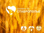 Бренды Ставрополья выходят на маркетплейсы с федеральной поддержкой