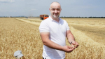 «Стильная» пшеница Мурата Татарканова