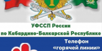 Горячая линия по вопросам противодействия коррупции пройдет в УФССП Кабардино-Балкарии - УФССП