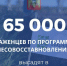 Осенью в лесах Кабардино-Балкарии высадят более 66 тысяч саженцев - Sk-News.Ru