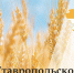 Сегодня – День Ставропольского края - РИА Кабардино-Балкария