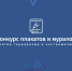 Творческий конкурс против терроризма и экстремизма - РИА Кабардино-Балкария