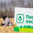 На платформе «Посади лес» появился рейтинг участников, вырастивших больше всего деревьев - Sk-News.Ru