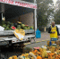 Продукцию на почти 4 млрд рублей  реализовали в 2025-м на 28 тысячах ярмарок на Ставрополье - Sk-News.Ru