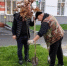 Красные дубы на улице Красной - Кабардино-Балкарская правда