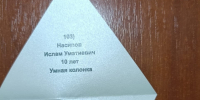 img - ЛДПР