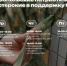 «Второй фронт» в тылу: в Ставрополе начинают работу  постоянные мастерские для помощи бойцам СВО - Sk-News.Ru