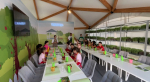 IMG_20260120_160534.png