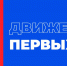 В Нальчике пройдет заключительный съезд Федерального совета Движения первых - Правительство КБР