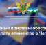Судебные приставы обеспечили выплату алиментов в Чегеме - УФССП