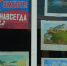 Детский взгляд на Крымский полуостров единства - Кабардино-Балкарская правда