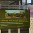 DSC08291.JPG - Северо-Кавказский государственный институт искусств