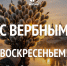 С Вербным воскресеньем! - Справедливая Россия