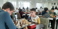 08042026-3 - Федерация Шахмат и Шашек