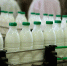 Производство кисломолочной продукции выросло на 20,4% - Правительство КБР